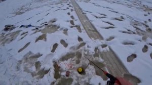 СУДАК НА ВИБЫ ЗИМОЙ! Опустил на глубину и удары! Ловля судака со льда! Зимняя рыбалка 2023 - 2024!