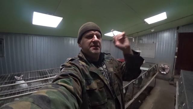 КАКАЯ КРОЛЬЧИХА ЛУЧШЕ? смотреть онлайн