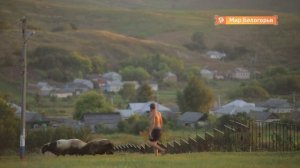 Белгородская область – в ТОП-3 регионов по качеству жизни в селе