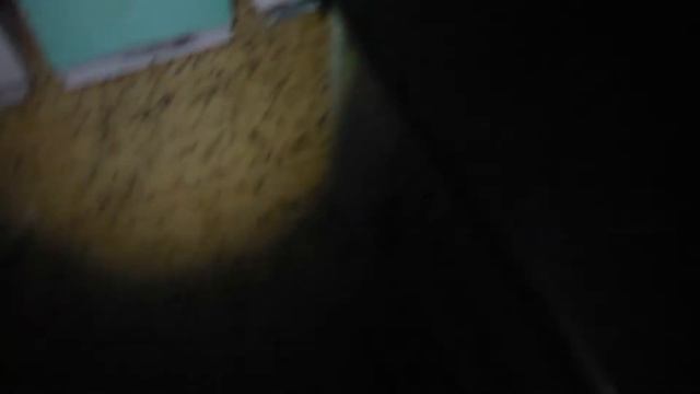 Пасека зимовка. Приехал проверить пчел. Состояние пасеки зимой. Сколько подмора