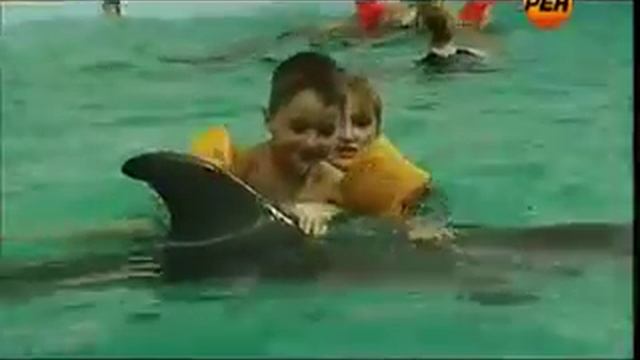 Живая тема от 21 01 2013 смотреть онлайн