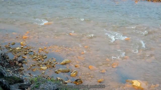 Типичный Далдыкан смотреть онлайн