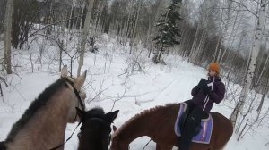 КОННАЯ Зимняя ПРОГУЛКА от Первого Лица / Go Pro
