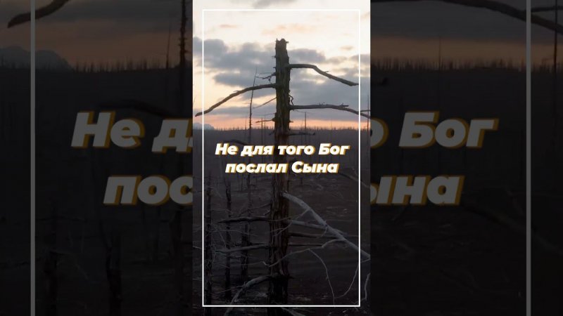 От Иоанна 3: 14-18 ИПБ им.Кулакова #sda_voskhozhdenie_shorts