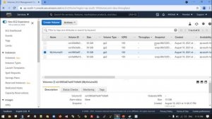 How to Create, Attach/Detach, Modify EBS Volumes, Snapshots and Creating customized AMI