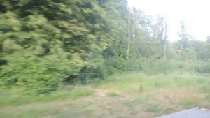 Проезжаем Рябиновку на электричке Калининградская область