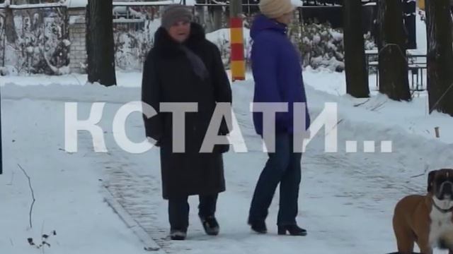 Сотни объектов были благоустроены в рамках областной программы поддержки местных инициатив смотреть онлайн