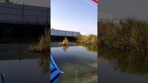 Рыбалка на сазана, тест трёх насадок #нут#кукуруза#улитка