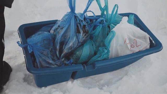 Чемпионат по ловле на мормышку на пруду. Новосибирск. Зимняя рыбалка смотреть онлайн