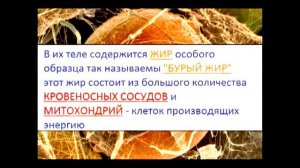 Все обо всем - Почему Младенцы не дрожат?