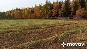 Самодельная Сеялка-борона-дисковая три водном Саха Vredo  часть 4 результат заготовка Сенаж