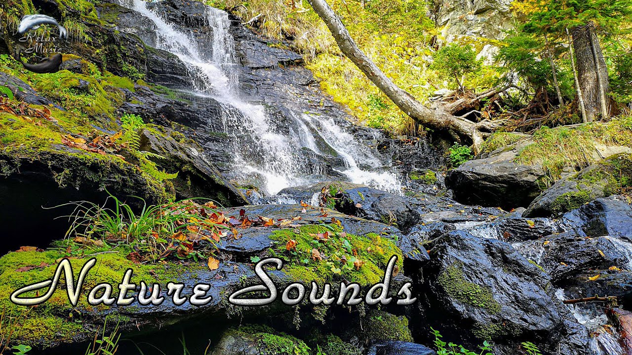 Шум водопада звуки