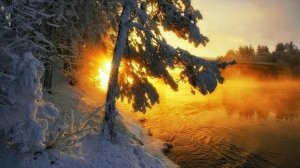 Футаж. Зимний пейзаж 24