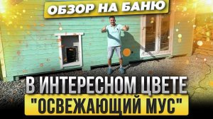 Обзор на баню 2.4 х 6 м в цвете "ОСВЕДАЮЩИЙ МУС"