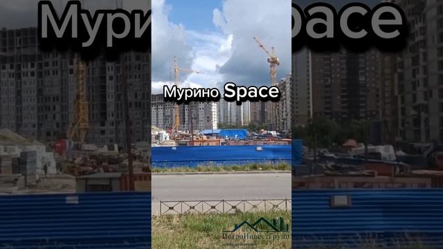 Мурино Спэйс Space