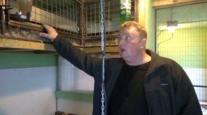 Устройство курятника ЛПХ "Перепелка" г.Дубна