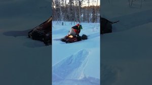 Arctic cat bearcat z1 xt в гору