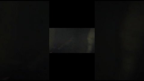 1 часть снюсоедов