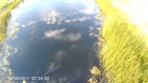 Ловля плотвы на зимнюю удочку с моста на реке Акмула