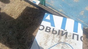 Задача выбить клеща