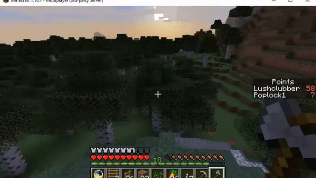 Pathway 2 Bees Area Minecraft 1.16.1 E2 смотреть онлайн