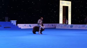 ЧМ 2016 Фристайл отборочные Новоселова марина и Миха