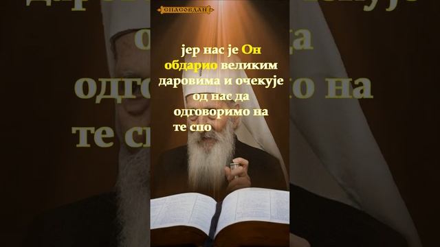 Патријарх Српски господин Павле - Не представљати се бољим него што јесмо