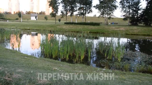 ЛАДНО, ДАВАЙ НА ЗАДНЕМ СИДЕНИИ, ТОЛЬКО БЫСТРО... Истории из жизни людей, Аудио рассказы смотреть онлайн