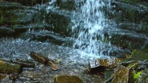 ВЛОГ// ВОДОПАД (Акмолинская область)