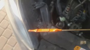 Как проверить уровень масла в двигателе. Какой уровень должен быть бензин дизель Должен знать кажды