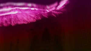 Ивана Салем, Соня Белькевич - Ангел