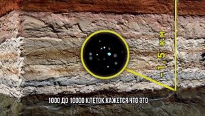 ЧТО ОБНАРУЖИЛОСЬ ГЛУБОКО ПОД ЗЕМЛЕЙ И КТО ТАМ ОБИТАЕТ