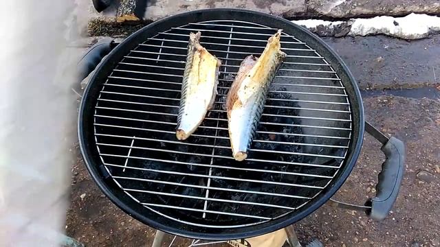 Готовим рыбу Скумбрия на гриле Очень Вкусно! Scomber on the Grill delicious