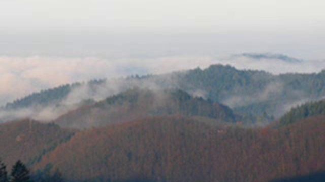 Интервью по йоге с Андреем Липенем смотреть онлайн