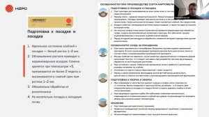 Сравнение сортов картофеля Ред Скарлетт и Мемфис