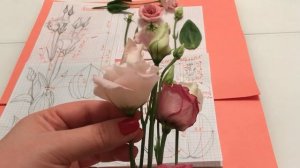 2. Реалистичная Эустома из фоамирана. Часть 1 Изучение строения цветка Эустомы, создание шаблона