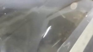 Вакуумный упаковщик с газацией DZQ-400/2T.