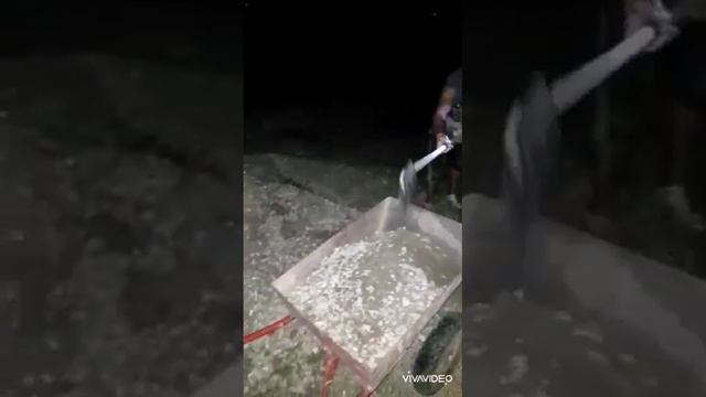 только Аллах будет рядом с тобой, когда все против "Залина и Салман"