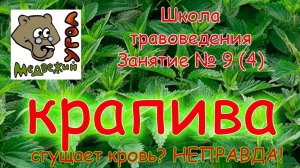 Школа травоведения. Занятие № 9 (4) КРАПИВА сгущает кровь? НЕПРАВДА!