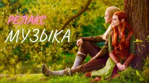 Релакс музыка для успокоения души "Осенний лес"
