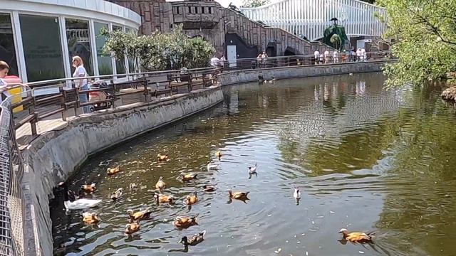 #Московский #зоопарк - панды, жирафы, слоны, экзотариум - Москвография - Что посмотреть в Москве смотреть онлайн