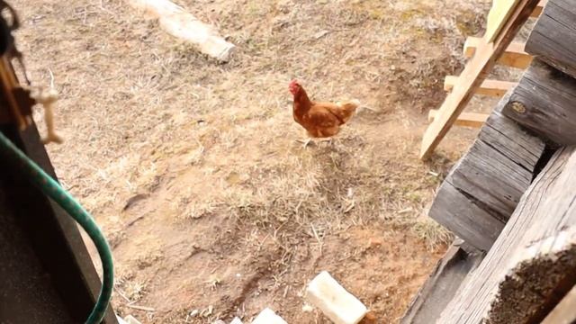 Делаю уличное освещение у дома. Женщина-электрик.mp4 смотреть онлайн