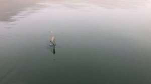 Рыбалка на бычка в Азовском море. Тамань, ноябрь 2021г.