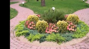 33 примера оформления клумбы из хвойников