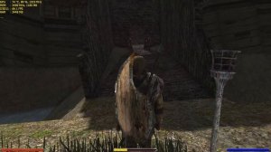 StrongHand mod Gothic2 (New Sprint animation)