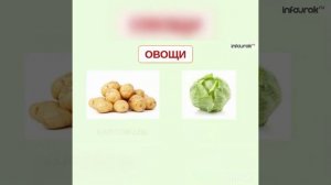 Ознакомление с окружающим миром «Осень»