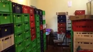 Секреты при разведении червя Дендробена Венета!