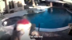 Le Zap de Cokaïn.fr n°063