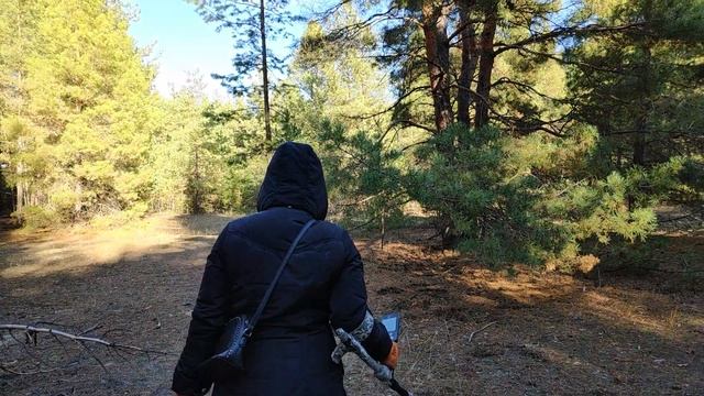 Семейный металлокоп с эквинокс 600 Ч.2  Minelab EQUINOX 600