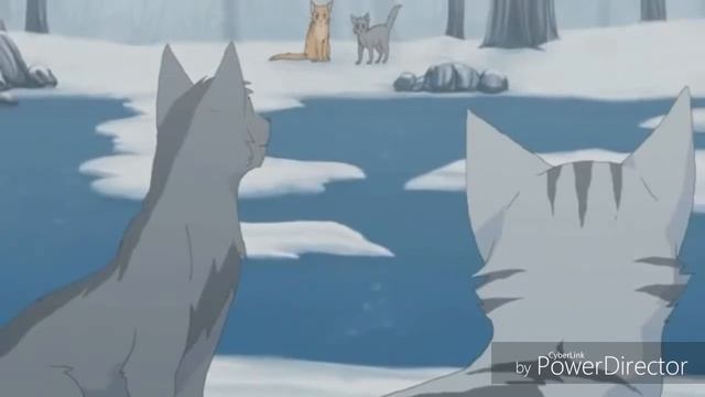 Серебрянка и Крутобок - Незабудка